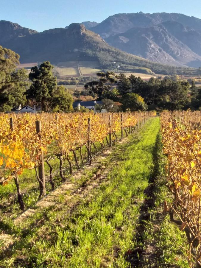 L'Auberge Chanteclair Franschhoek Exterior photo